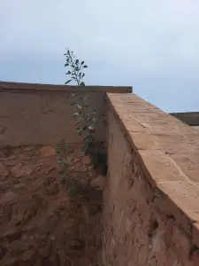 Jacquelien 05 Castillo de San Ramon